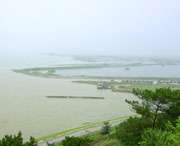 居巢天气预报